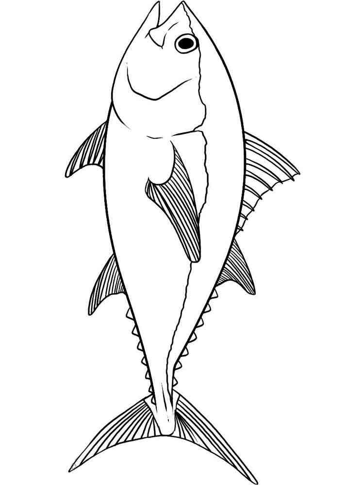 Tuna fish coloring pages. Download and print Tuna fish coloring pages.